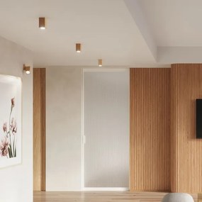 Spot KEKE 1xGU10/40W/230V 30 cm stejar Sollux SL.1041