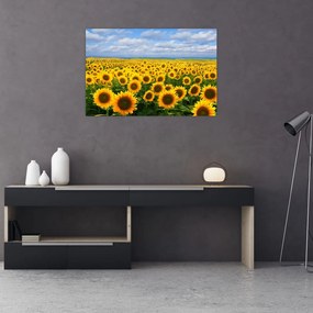 Tablou cu lan de floarea soarelui (90x60 cm)