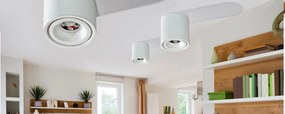 Spot LED aplicat directionabil de tavan/plafon COSTA alb
