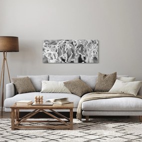Tablou - Frunze înghețate,alb-negru (120x50 cm)