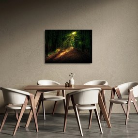 Tablou pe sticlă cu poteca prin pădure (70x50 cm)