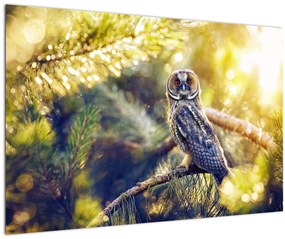 Tablou - Bufniță în copac (90x60 cm)