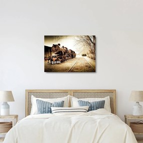 Tablou pe sticlă - Locomotiva istorică (70x50 cm)
