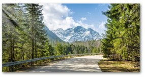 Tablou pe acril Road tatry