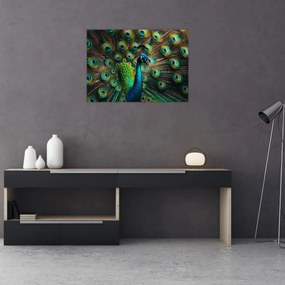 Tablou – Păun (70x50 cm)