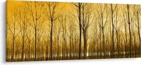 Tablou cu pădure în apus de soare (120x50 cm)