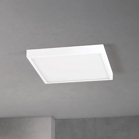 Orion - Plafonieră LED dimabilă DISC LED/30W/230V 2700/3000/4000K 39x39 cm alb