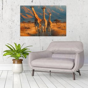 Tablou - Girafe pe pășune (90x60 cm)