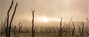 Tablou - Copaci goi (120x50 cm)