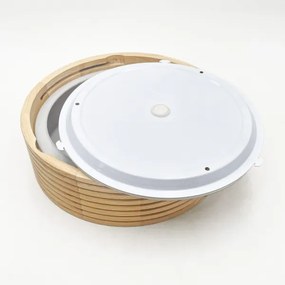 Plafonieră pentru baie NATURAL MODERN 2xE27/15W/230V, Ø 27,5 cm, pin