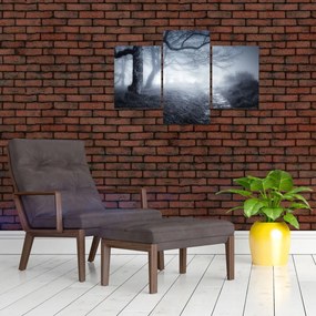 Tablou - Drum pin ceață (90x60 cm)