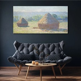 Tablou canvas Monede de fân de la sfârșitul verii