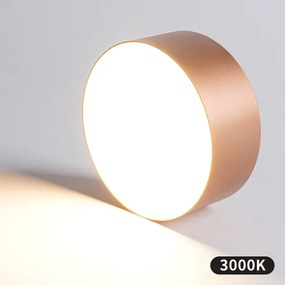 BRILAGI - Plafonieră de exterior FORIS LED/20W/230V Ø 15 cm bronz IP44