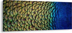 Tablou - Pene de păun (120x50 cm)