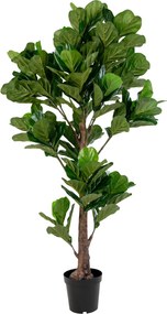 Copac cu frunze Felinora 2 (verde). Promo -15%. 1147557