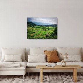 Tablou pe sticlă cu câmp de orez (70x50 cm)