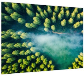 Tablou - O pădure învăluită în ceață (70x50 cm)