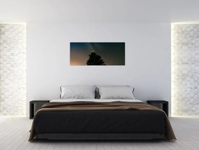 Tablou cu cerul nocturn și copaci (120x50 cm)