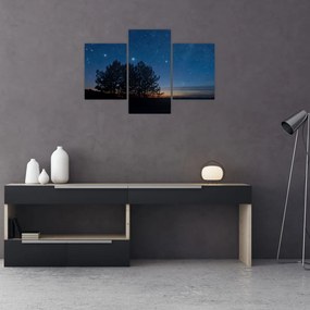 Tablou cu copaci noapte (90x60 cm)