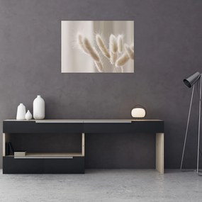 Tablou - Cozi de iepure (70x50 cm)