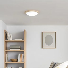 Rabalux 5421 - Plafoniera UFO 2xE27/60W/230V