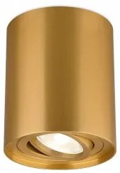 Spot aplicat/plafoniera GU10 BH04-00306 Braytron
