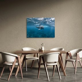 Tablou pe sticlă - Delfin sub apă (70x50 cm)
