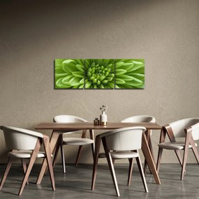 Tablou - Imagine macro a unei plante (cu ceas) (90x30 cm)