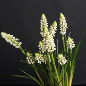 Aranjament floral mic decor festiv design LUX ETERNITY CUBO MUSCARI IN COTTO