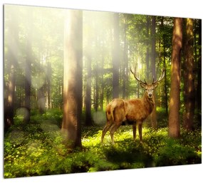 Tablou pe sticlă cu cerbul în pădure (70x50 cm)