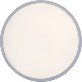 Rabalux 3428 - Plafonieră LED dimerizabilă PAVEL LED/22W/230V