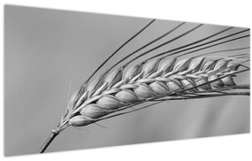 Tablou - Grâu,alb-negru (120x50 cm)