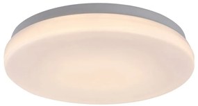 Plafoniera pentru exterior, Protectie IP44 Lowar D-24cm