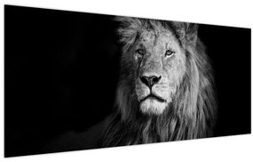 Tablou - Leu, alb și negru (120x50 cm)