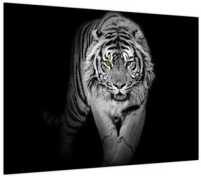Tablou - Tigru cu ochi galbeni (70x50 cm)