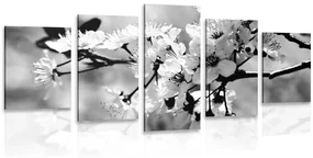 Tablou 5-piese floare de cireș în design alb-negru
