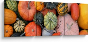 Tablou - Dovleac (cu ceas) (90x30 cm)