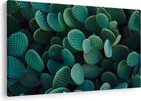 Tablou - Opuntia (90x60 cm)