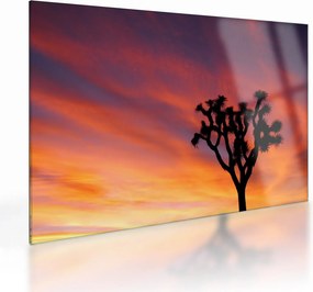 Tablou pe sticlă apus de soare deasupra siluetei unui copac (70x50 cm)