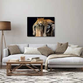 Tablou pe sticlă - Ghepard (70x50 cm)