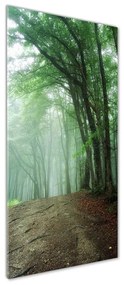 Pictura pe sticlă acrilică Ceață în pădure