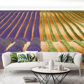 Fototapet Provence Franța