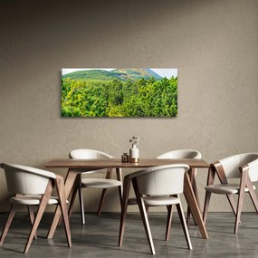 Tablou - Babi Hora, Polonia (120x50 cm)