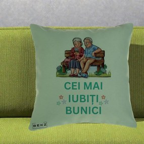 Cadou pentru Bunici - Perna Personalizata Cei Mai Iubiti Bunici Cuplu pe Banca Ilustratie, 40x40 cm, Verde, Husa Detasabila, Perna Inclusa, BEKZ®