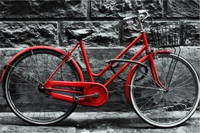 Tablou - Bicicleta istorică (90x60 cm)