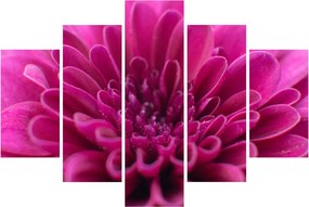 Tablou cu floare (150x105 cm)