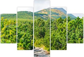 Tablou - Babi Hora, Polonia (150x105 cm)