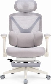 DeluxStar YX-977 NEXOR PRO FOAM SEAT – Scaun Ergonomic cu Suport Lombar 3D, Tetieră 3D, Cotiere 4D, Șezut Glisant, Înclinare 140°, Suport pentru Picioare, Gri