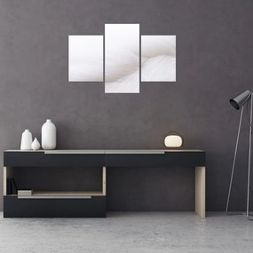 Tablou - Pană albă (90x60 cm)