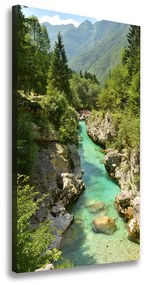 Tablou pe pânză canvas Branhii